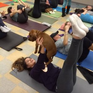 Puppy Pilates Dallas